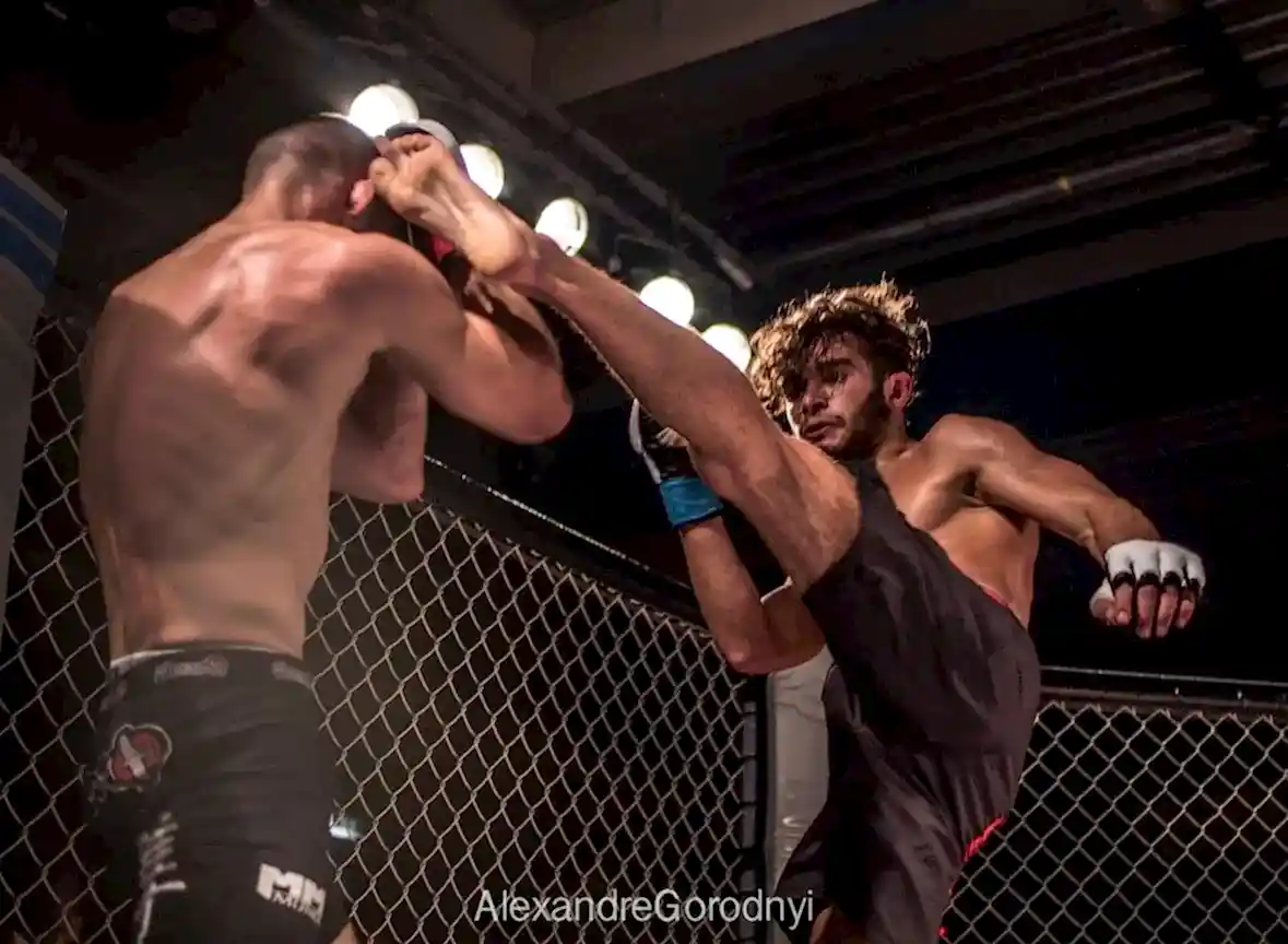 Aggrelin 8