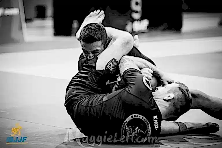 Nogi Grappling Submission Wrestling