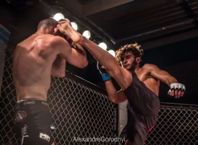 Aggrelin 8